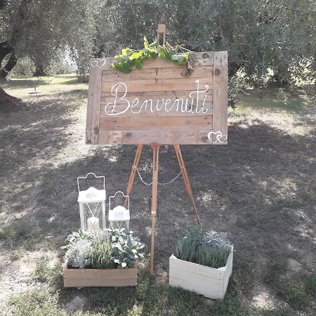 Agriturismo Fonteregia Montecatini Terme Eksteriør billede