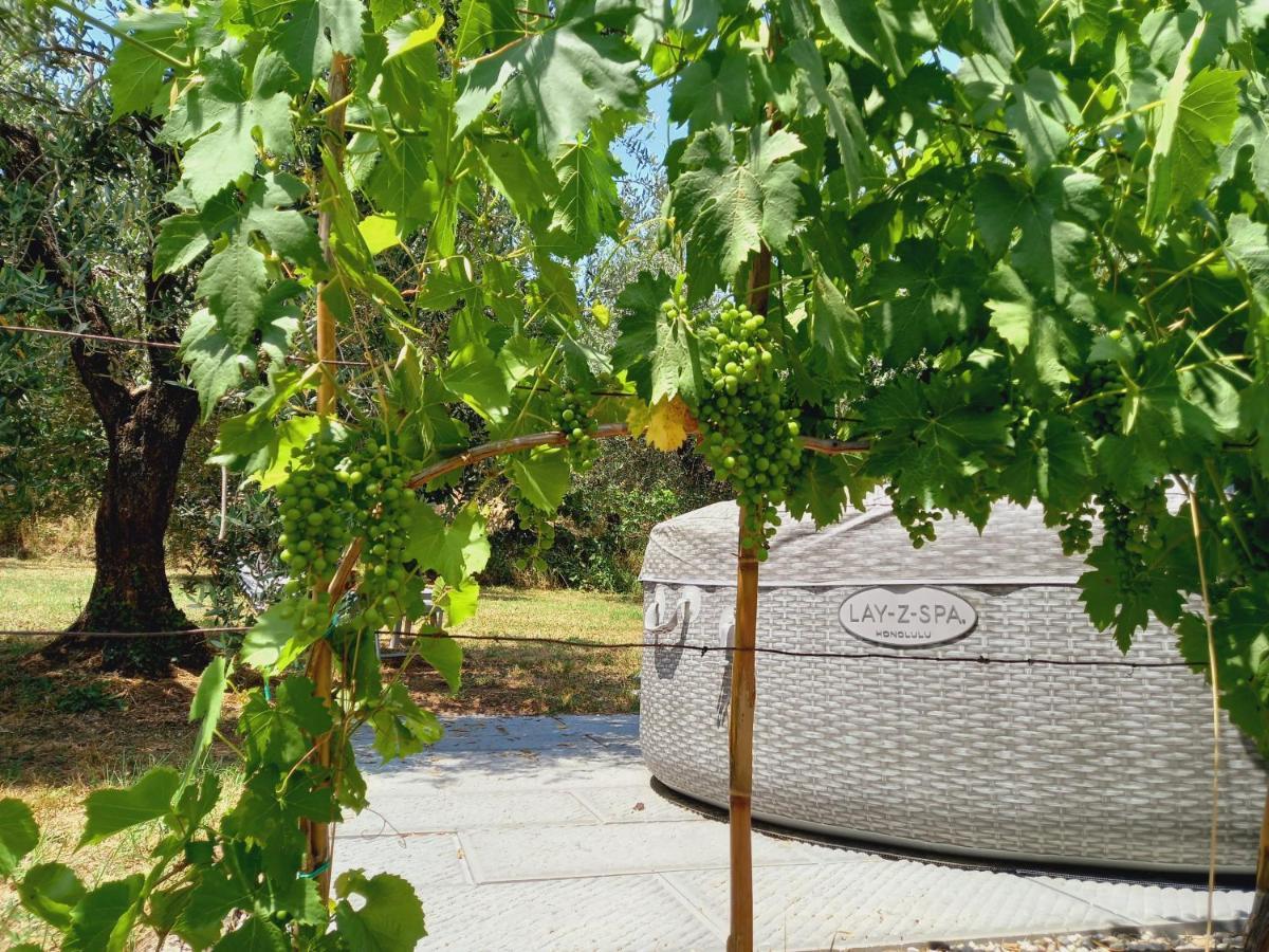 Agriturismo Fonteregia Montecatini Terme Eksteriør billede