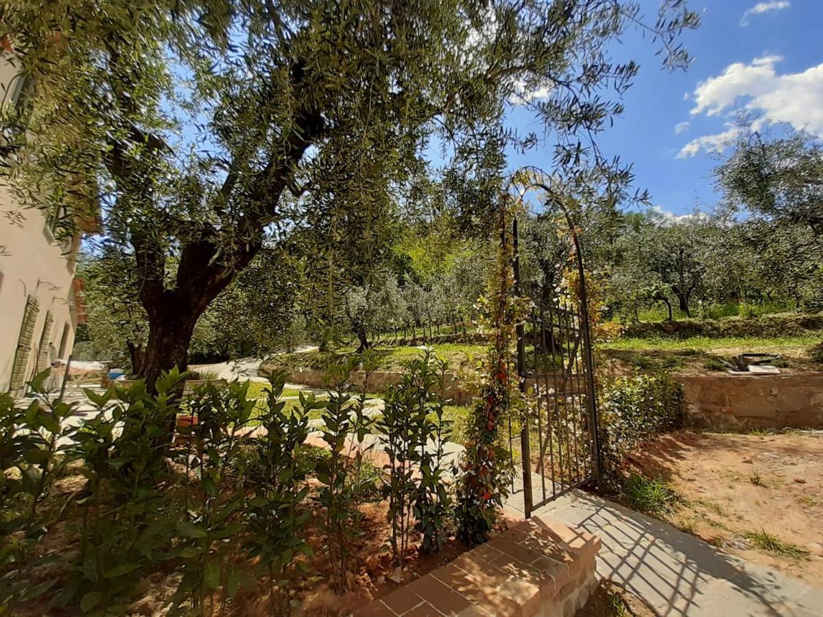 Agriturismo Fonteregia Montecatini Terme Eksteriør billede