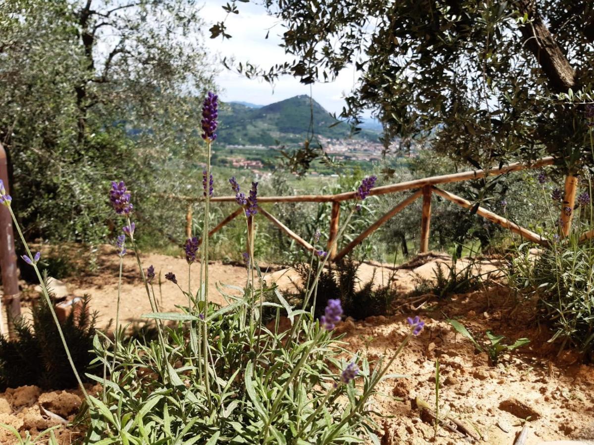 Agriturismo Fonteregia Montecatini Terme Eksteriør billede